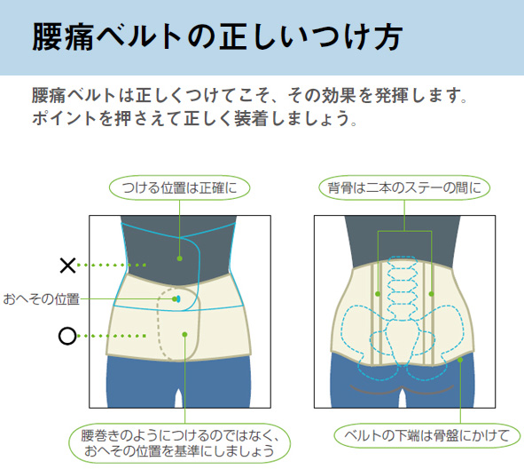 Tssp Jp アイリスオーヤマ つけて安心 腰用サポーター レギュラータイプ